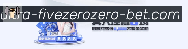 未来规划